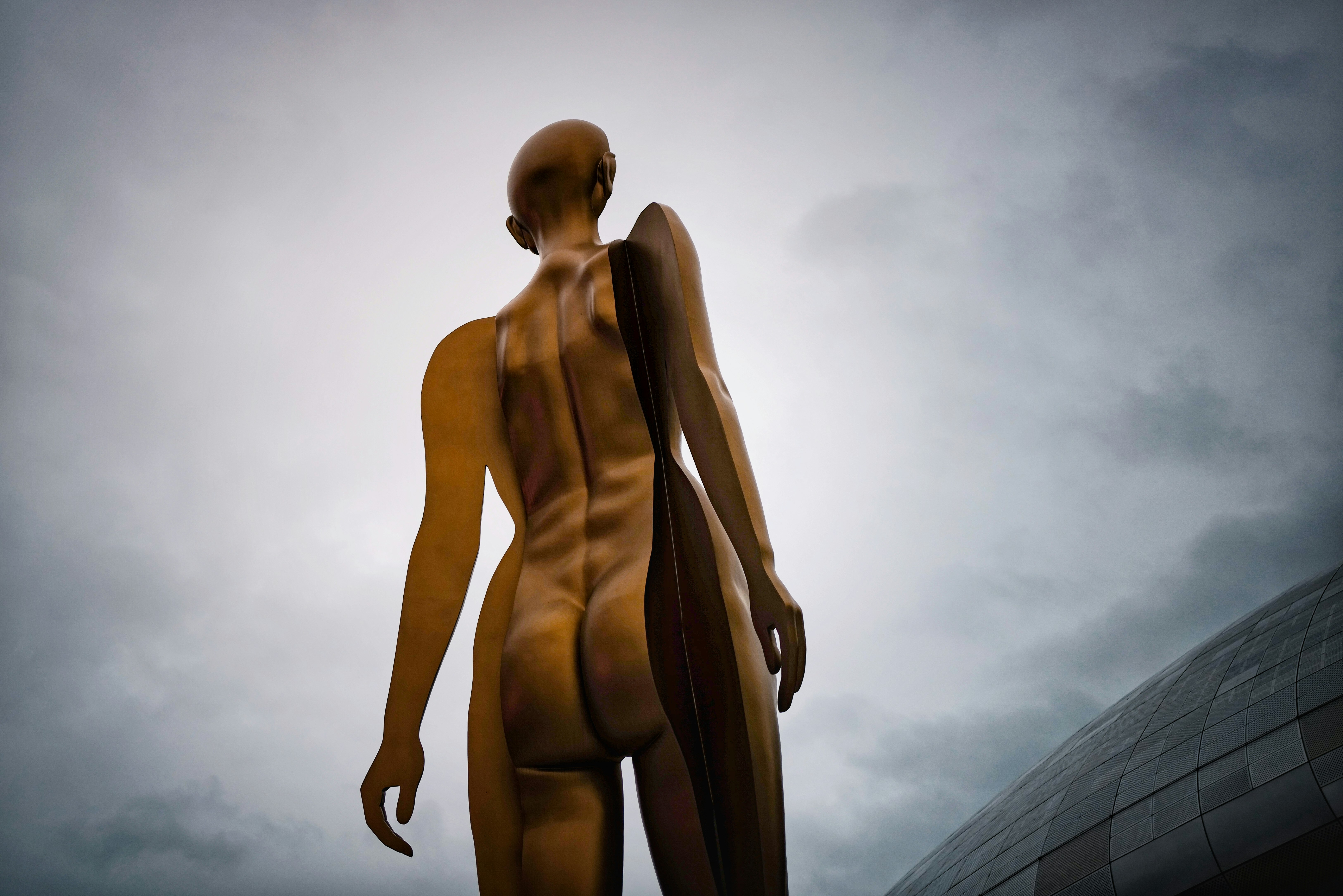 nude woman standing on brown wooden dock during daytime